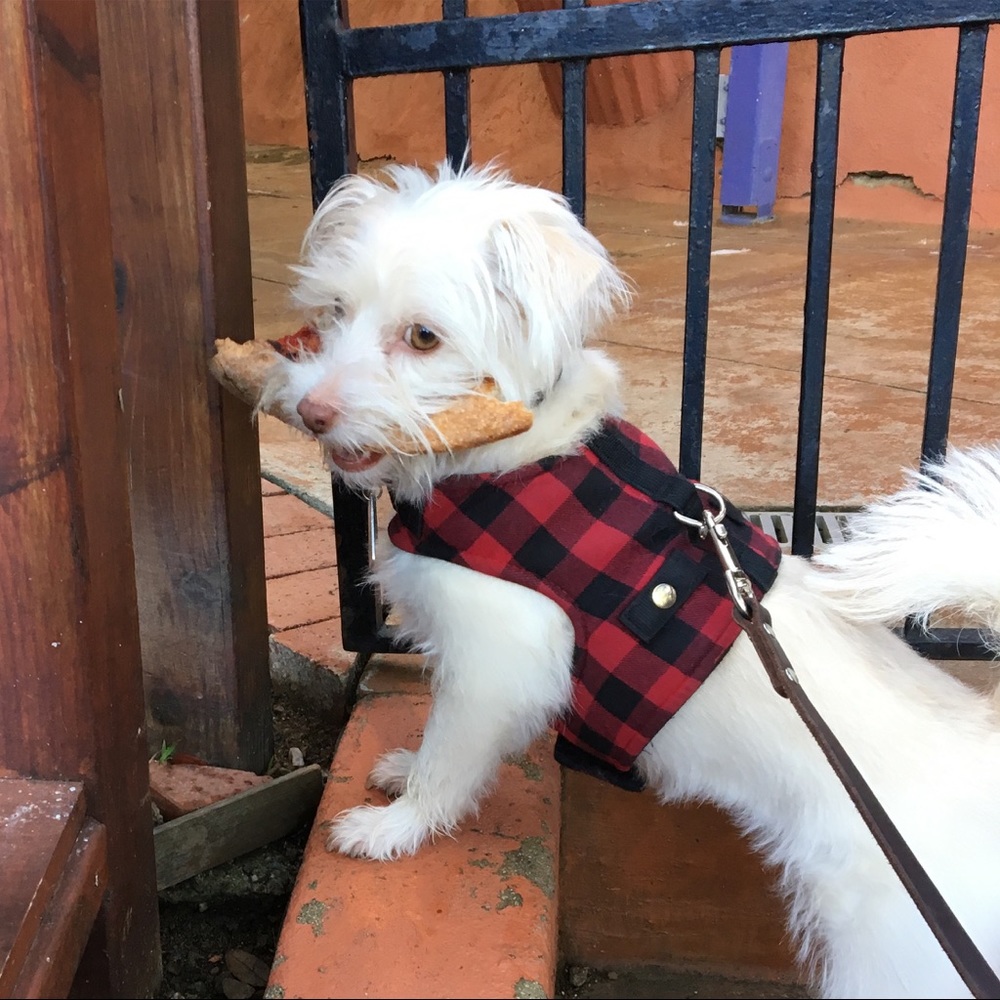 Meet your Posher, Kara